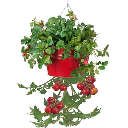 Houston International Trading Houston International Trading 8399E XR Enameled Galvanized Hanging Strawberry; Floral Planter - Red 8399E XR